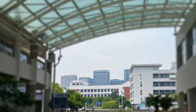 提升企业名录数据准确性的关键实践与维护策略
